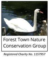 Forest Town Nature Conservation Group