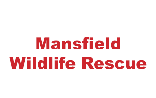Mansfield Wildlife Rescue