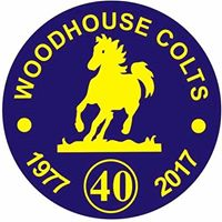 Woodhouse Colts JFC U15s